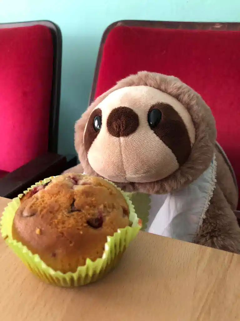 Screenshot of einrad.turun.de